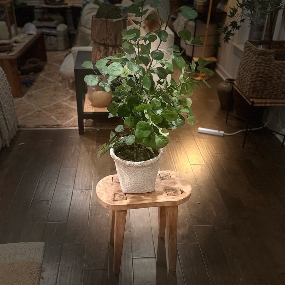 NWT Faux Ficus Tree - Threshold designed with Studio McGee - Picture 12 of 12
